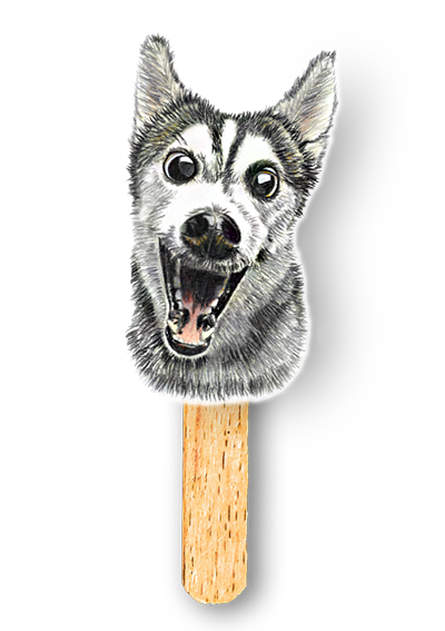 Dog Breeds