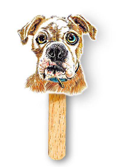 German Shepard